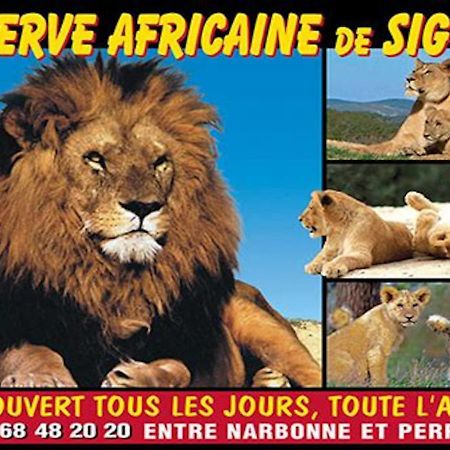 Agreable Maison De Famille Sur Gite Echarou シジャン エクステリア 写真