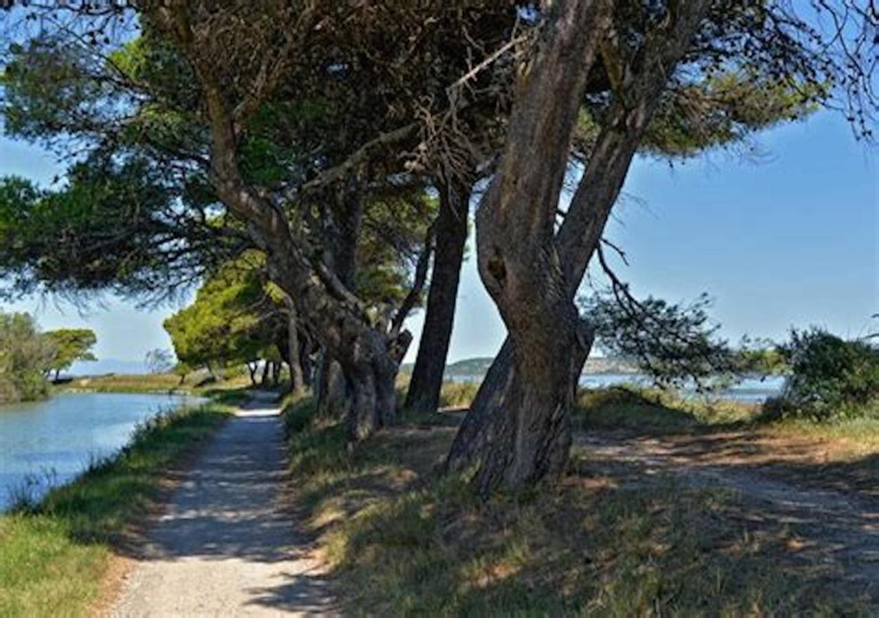 Agreable Maison De Famille Sur Gite Echarou シジャン エクステリア 写真